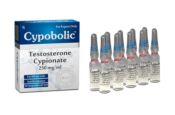 Cipionato de Testosterona: O Padrão Ouro do TRT — Janelas de Estradiol e Hematócrito